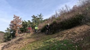 vlcsnap 2026 02 22h35m55s405