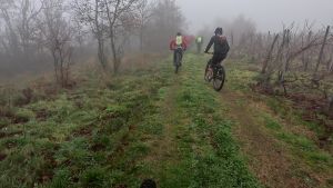 vlcsnap 2025 12 14h12m02s890