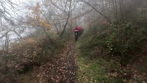 vlcsnap 2025 12 14h12m55s601