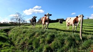 vlcsnap 2026 03 15h41m48s235