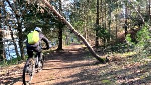 vlcsnap 2026 03 15h58m42s219