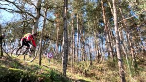 vlcsnap 2026 03 15h11m28s949