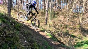 vlcsnap 2026 03 15h11m51s200