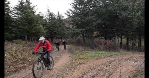 vlcsnap 2026 02 01h28m56s770