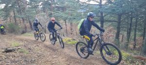 whatsapp image 2026 02 01 at0.30.52  