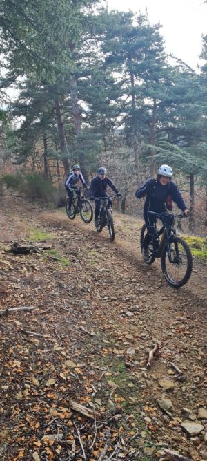 whatsapp image026 02 01 at 10.30.53  