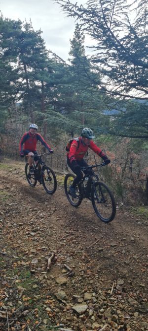 whatsapp image 2026 02 01 at0.30.54  