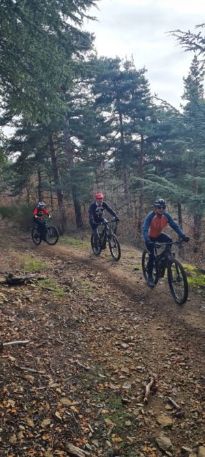 whatsapp image026 02 01 at 10.30.54  