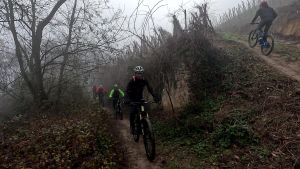 vlcsnap 2026 01 18h54m46s455