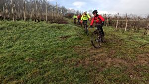 vlcsnap 2026 01 18h06m51s341