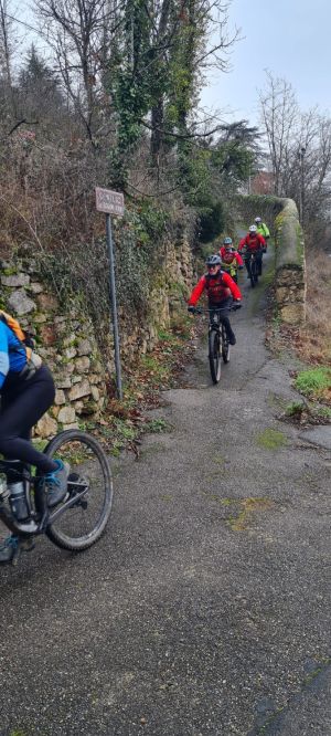 whatsapp image 2026 01 25 at.55.30