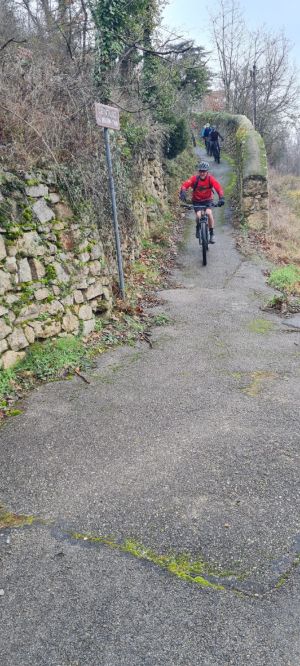 whatsapp image 2026 01 25 at1.55.38  