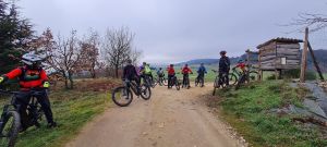 whatsapp image026 015 at 11.55.40  