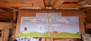 whatsapp image 2026 01 25 at 11.55.40  