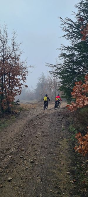 whatsapp image026 015 at 11.55.41  