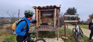 whatsapp image 2026 01 25 at.55.41