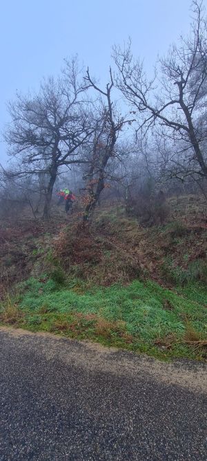 whatsapp image 2026 01 25 at1.55.42  