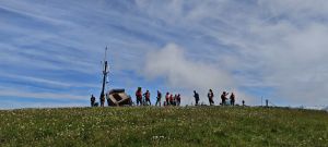 51